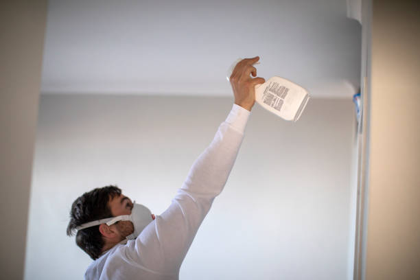 Best Mold Damage Repair  in Ridgeway, AK