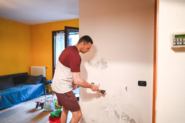 Best Mold Cleaning Services  in Ridgeway, AK